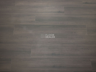 Ecoclick Wood  замковый 4.2мм NOX-1609 Дуб Хорн фото 3 | FLOORDEALER